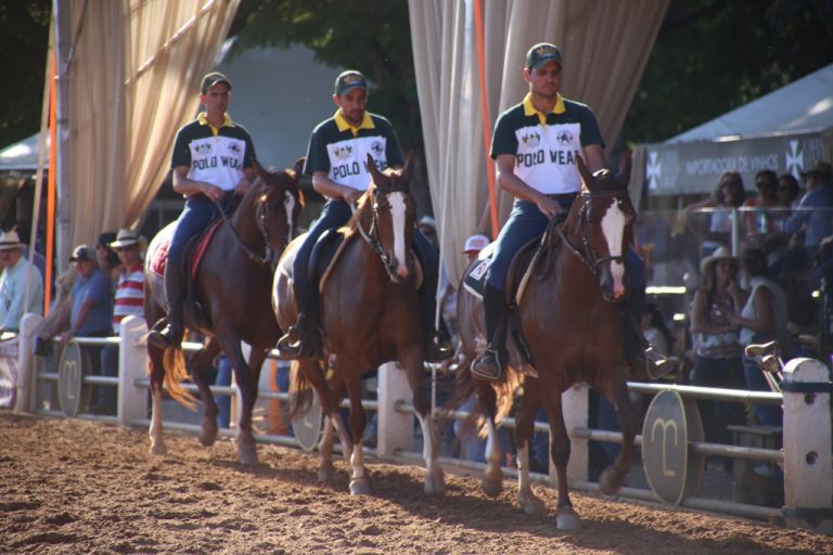 Nacional Mangalarga Elege Os Grandes Campe Es De Cavalus