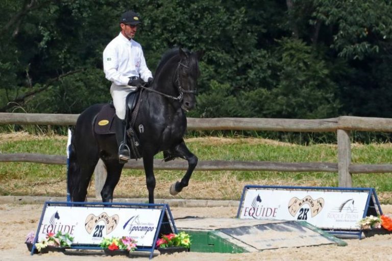 Etapa Do Campeonato Paulista De Equita O De Trabalho Cavalus