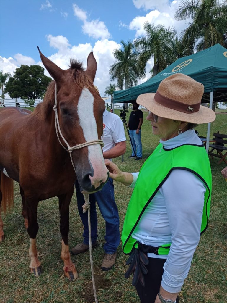 Mangalargada une apaixonados pela raça no Haras Espinhaço Cavalus