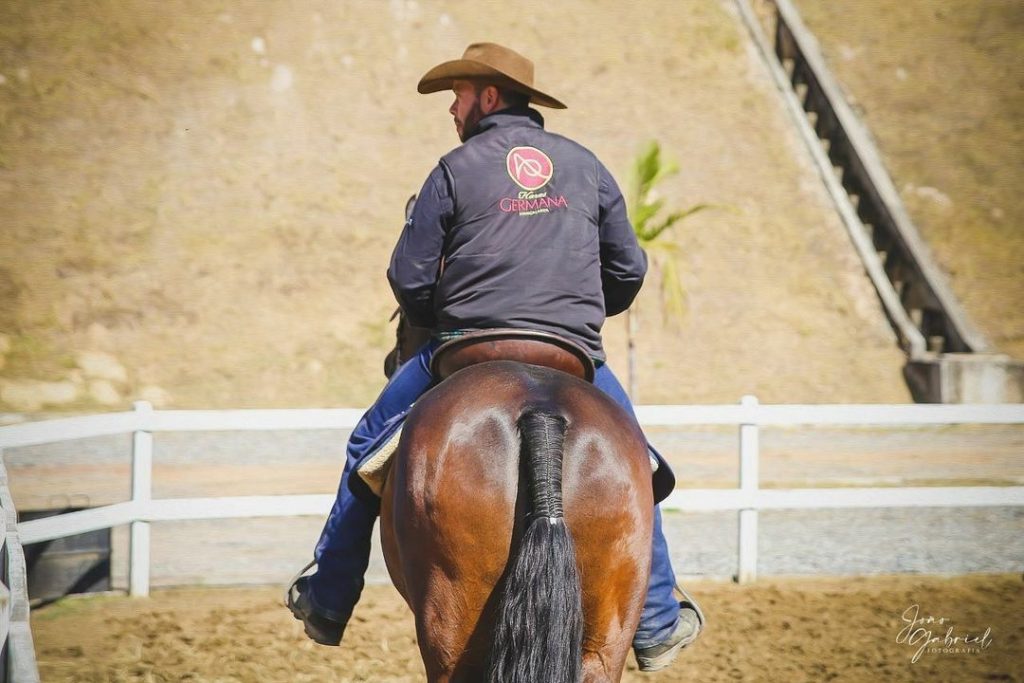 Amor Pelos Cavalos Mangalarga Transforma A Vida De Uma Fam Lia No