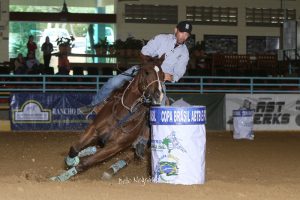 Papo de Tamborzeiro –  Retrospectiva 2017