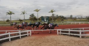 Presidente do Jockey Club de Sorocaba faz balanço de 2018 em carta