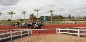 Jockey de Sorocaba divulga balanço positivo após um mês da nova gestão