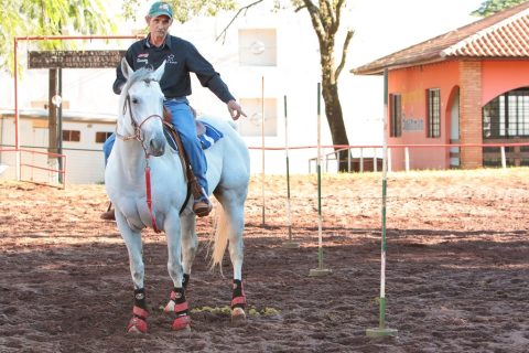 Impactos do Cenário Econômico na Agricultura