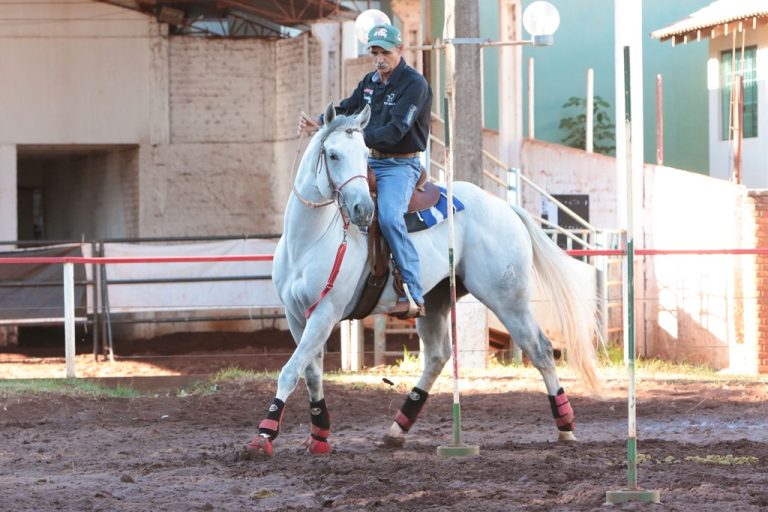 Edson Francisco, um expoente das Seis Balizas