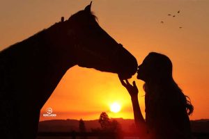 Equipe brasileira de Rédeas embarca para a disputa dos Jogos Equestres Mundiais