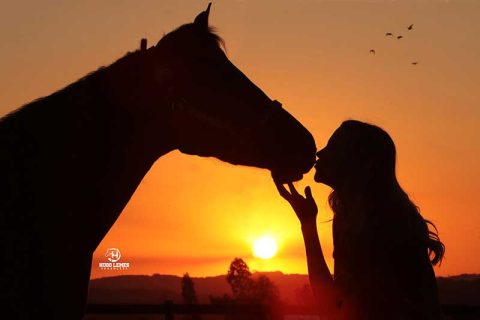 Equipe brasileira de Rédeas embarca para a disputa dos Jogos Equestres Mundiais