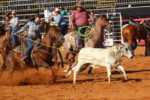 Letícia Mamede representa a versatilidade da cowgirl brasileira