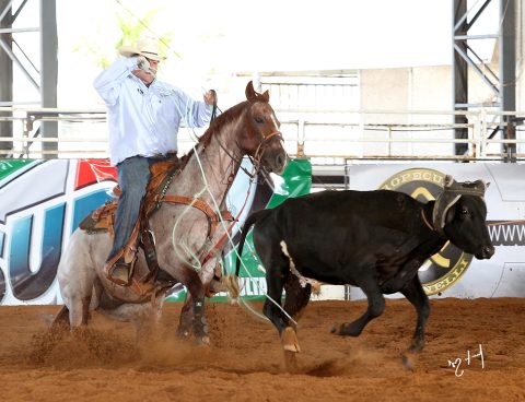 Defesa Agropecuária suspeita de 450 cavalos com Mormo