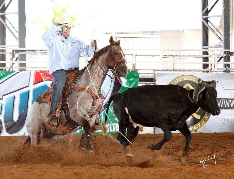 Defesa Agropecuária suspeita de 450 cavalos com Mormo