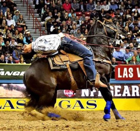 Juninho Nogueira assume vice-liderança do ranking de Laço Pé na PRCA