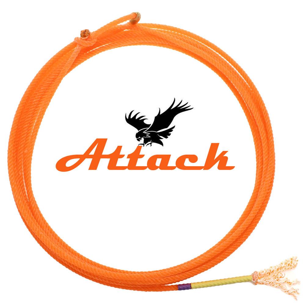 Corrida e Leilão Primavera Elite em Canindé (CE)