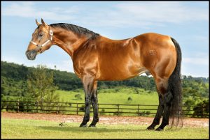 Doctor Jazz reproduzindo para o Laço!