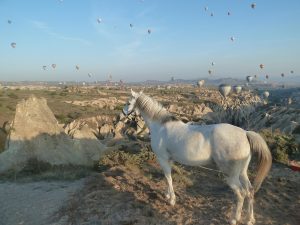 O Melhor da Capadócia a cavalo em meio às belas paisagens naturais