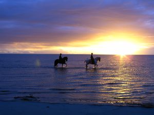 Cavalgada dos Lusitanos – do Mar de Dentro ao Mar de Fora