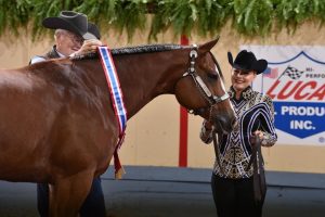 11 razões para você ir ao mundial da AQHA