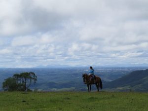 Caminho das Tropas nos Campos Gerais do Paraná 