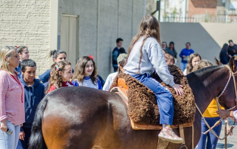 Semana do Cavalo Quarto Milha lança oficialmente o garanhão Barons Feature Red