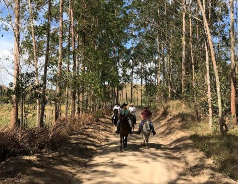 Experiência foi a chave do sucesso no Working Cow Horse