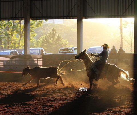 Elite Team Roping um estímulo aos profissionais do Laço