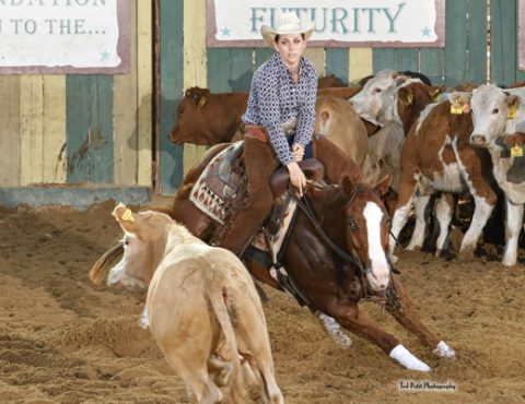 B2B Ranch está em “Fiesta”