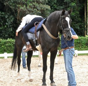 Você conhece a Equitação Transformativa?