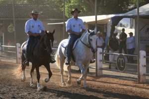 Expo Nacional do Cavalo Mangalarga semana que vem