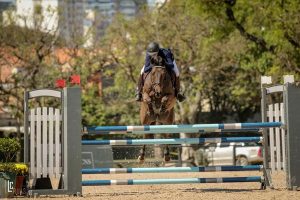 Hipismo: Campeonato Brasileiro de Amadores na SHP