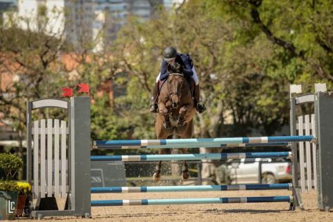 ABQM incia chipagem no cavalos durante o Nacional