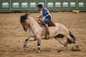 Competidor desempatou com ele mesmo na final do Movimiento a La Rienda