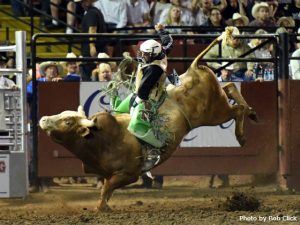 Spears levou 40 mil no Xtreme Bulls Finale