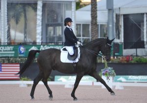 Para-Equestrian Dressage em Tryon