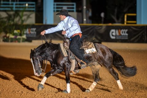Primeiro Rédeas de Ouro no Paraná essa semana!