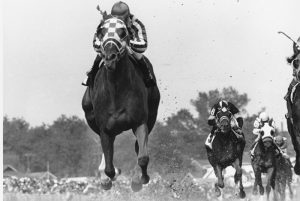 17s951: tempo de recorde no Team Penning