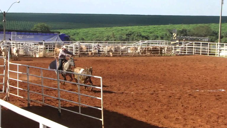 Média de R$ 26,7 mil no Leilão Atalla