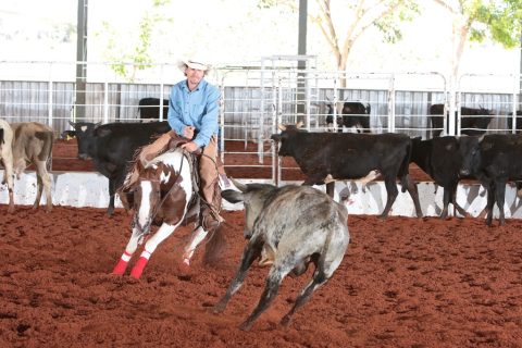 Maior evento da raça Paint Horse essa semana