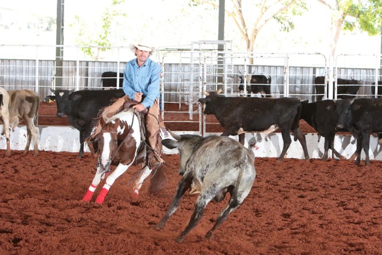 Maior evento da raça Paint Horse essa semana