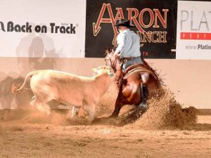 A história da National Reined Cow Horse Association