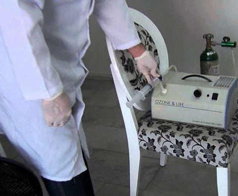 Ana Dantas mostra a força comercial do NE