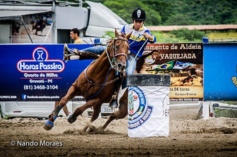 Leilão Ana Dantas Ranch consegue média de R$ 93,2 mil
