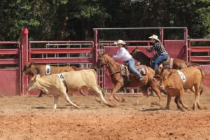 Limeira sediou etapa da Liga Leste Paulista de Team Penning