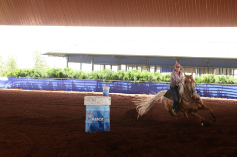 Após sucesso de 2017, ABCZ já planeja o Horse Show do ano que vem