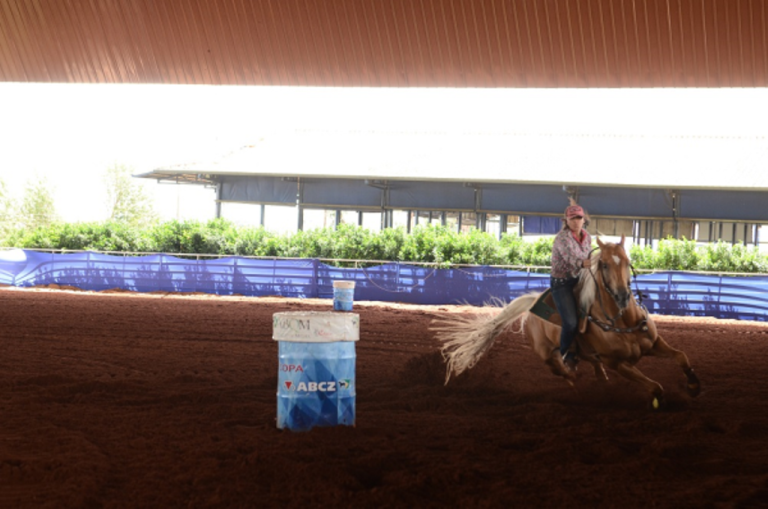 Após sucesso de 2017, ABCZ já planeja o Horse Show do ano que vem