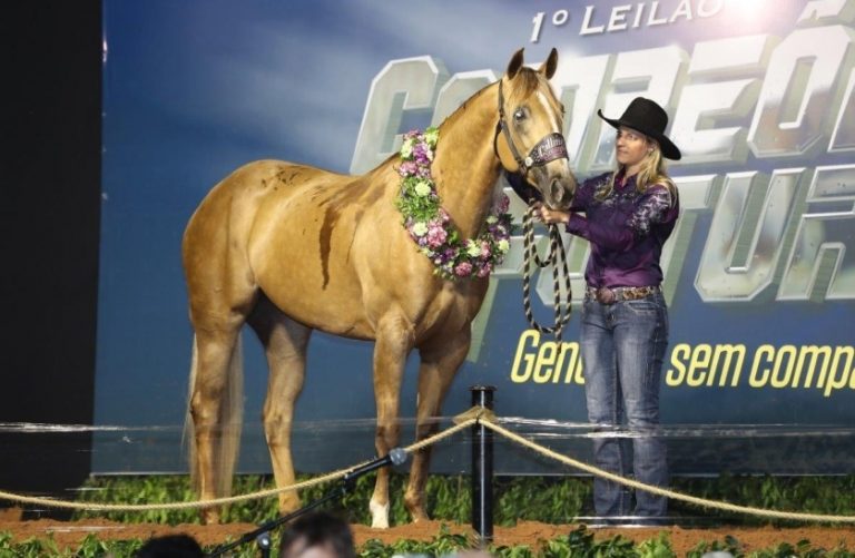 Homenagem a Regis Frati, batalhador incansável em prol dos esportes equestres