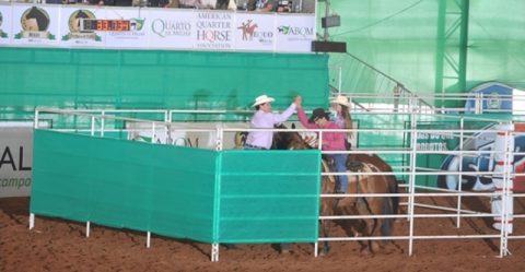 Programação da ABQM segue nesse feriado com Team Penning