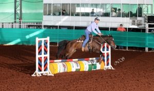 Vaguinho: a história viva do Congresso Brasileiro do Quarto de Milha segue fazendo campeões aos 60 anos