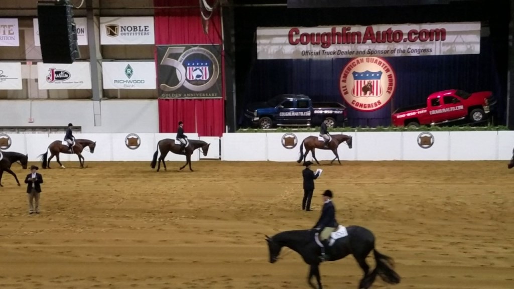 Um dos maiores espetáculos equestres de uma única raça no mundo!!