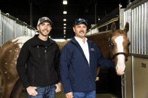 Um Appaloosa ganhando no Quarter Horse Congress?