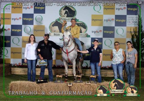 Edson Francisco fez história em Avaré com seu tordilho especial