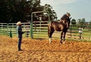 Falta um mês para o 15° Encontro Internacional de Horsemanship